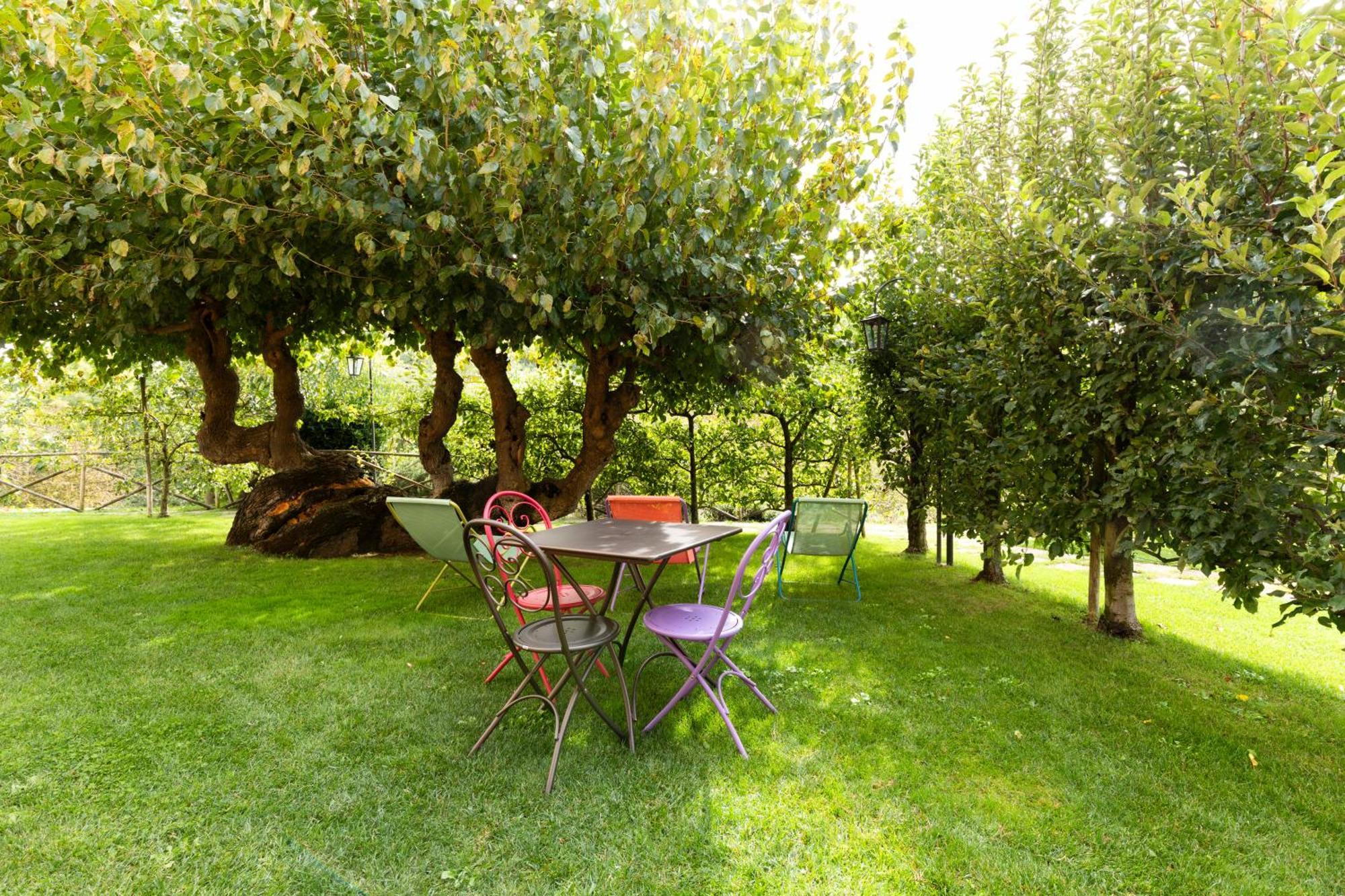 Agriturismo I Gelsi Di Santa Cristina Губбио Экстерьер фото