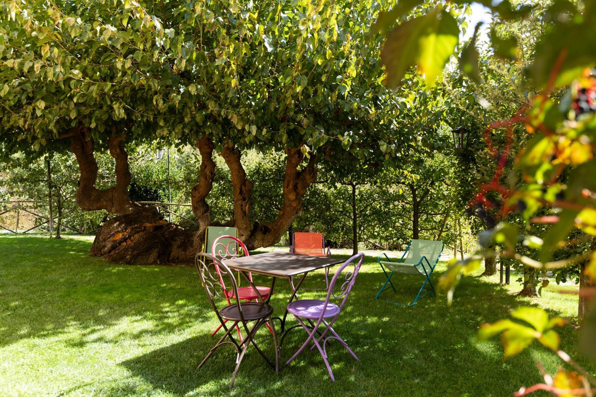 Agriturismo I Gelsi Di Santa Cristina Губбио Экстерьер фото